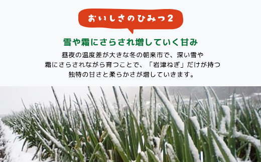 朝来市特産「岩津ねぎ」3kg（箱入り） AS4BC15