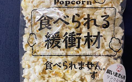 愛犬家のご自宅用にも・プレゼント用にもぴったり！「犬用おやつポップコーン」3種セット [ATCC001]