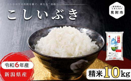R6年産 新潟県産 こしいぶき 10kg（精米）