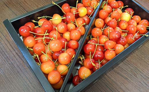 さくらんぼ <佐藤幸男農園> 佐藤錦 ML混合 1kg バラ詰 F7X-02