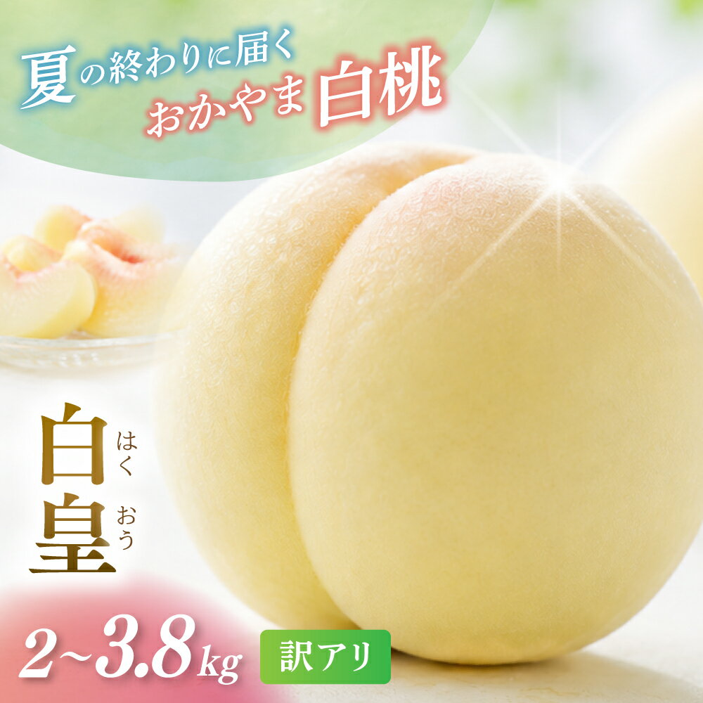 【ふるさと納税】 岡山県産 白皇 2kg 3.8kg 訳アリ 白皇 はくおう 【2026年 先行予約 8月中旬～9月初旬まで順次発送予定】 桃 もも モモ 果物フルーツ 訳あり品 岡山県 数量限定 くだもの 期間限定 産地直送 白桃 送料無料 約3kg お取り寄せ