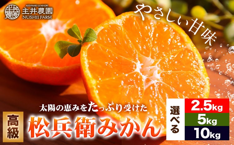 
                  【先行予約】主井農園の高級松兵衛みかん 選べる 約2.5kg 5kg 10kg《11月中旬-1月上旬頃出荷》主井農園 和歌山 和歌山みかん みかん ミカン 蜜柑 柑橘 果物 フルーツ
                
