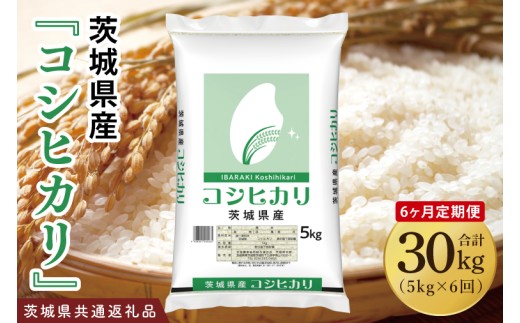 【6ヶ月定期便】令和7年産 茨城県産 コシヒカリ5kg【お米 米 こしひかり ごはん 茨城県】（03-56-1）
