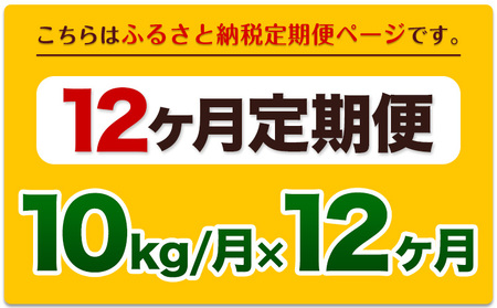 令和6年産新米 【12ヵ月定期便】 白米 ひのひかり 定期便 10kg 5kg×2袋《お申込み翌月から出荷開始》 熊本県産 精米 ひの 米 こめ ヒノヒカリ コメ お米