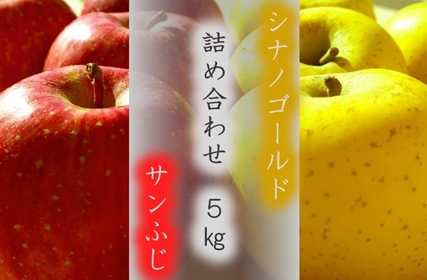 
                  167  サンふじ と シナノゴールドの詰め合わせ 5ｋｇ 【双葉農園】
                