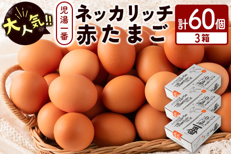 ＜児湯養鶏自慢の卵 ＞ネッカリッチ赤たまご「児湯一番」計60個（20個入×3箱）【B23】