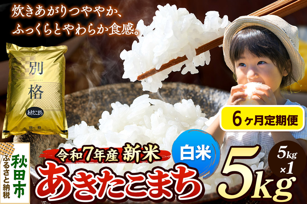 《令和7年産 新米》《定期便6ヶ月》 米 あきたこまち 5kg 【白米】 秋田県産