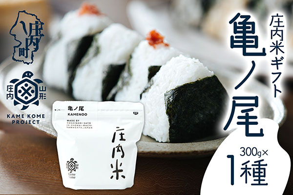山形庄内かめこめプロジェクト 庄内米ギフト 亀ノ尾 300g×1袋 令和7年産 2025年産 ブランド米 コシヒカリの原点、亀の尾発祥の地 庄内