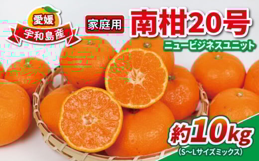 みかん 10kg 南柑20号 家庭用 S~L サイズ ミックス 玉津みかん ニュービジネスユニット 先行予約 温州 温州みかん 果物 くだもの フルーツ 柑橘 蜜柑 mikan 温州 愛媛蜜柑 愛媛みかん 農家直送 産地直送 数量限定 国産 愛媛 宇和島 B015-058002