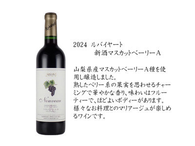 丸藤葡萄酒が贈る旬の味わい『新酒マスカットベーリーA』『新酒甲州辛口』新酒ワイン2本セット（MF）B17-790 【ワイン 丸藤葡萄酒 赤ワイン 白ワイン 甲州市 山梨県】