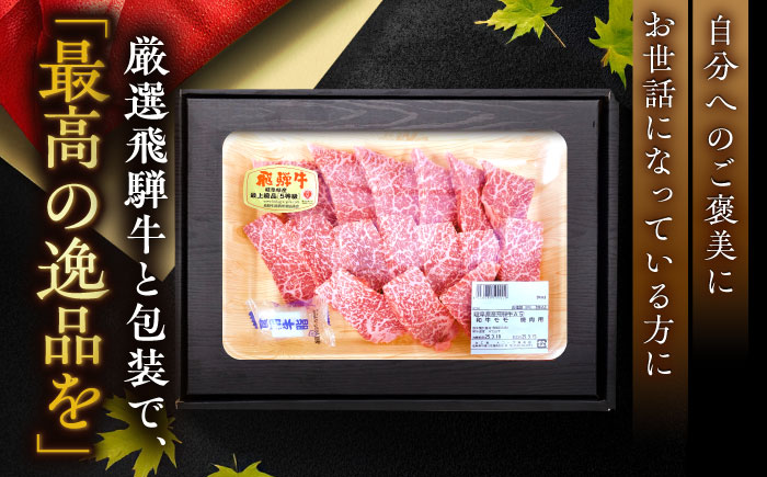 【チルド（冷蔵）発送！】 「飛騨牛」 A5等級 もも 500g / 牛肉 焼肉 鉄板焼き 網焼き BBQ / 恵那市 / 東美濃農業協同組合 [AUFX005]