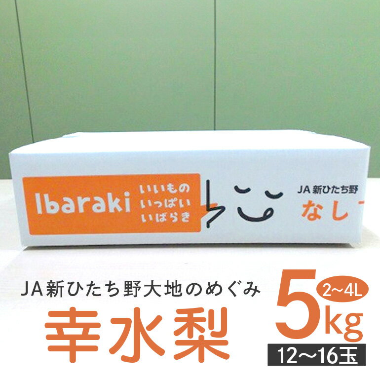 【ふるさと納税】 幸水梨　箱込約 5kg（JA新ひたち野）梨 約 12玉 〜 16玉 品種 幸水 なし ナシ 果物 フルーツ 4L 3L 2Lサイズ 5キロ 8月 発送 夏 旬 産地直送 農家直送 産直 国産 くだもの 甘い 糖度 茨城県産 茨城県 石岡市 送料無料 (B01-009)