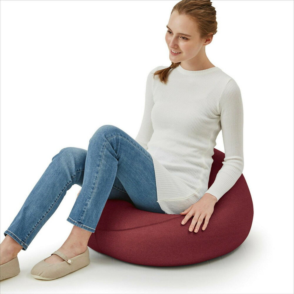 【ふるさと納税】プレミアムフィットチェア【5色展開】 | 鳥取 MOGU フィットチェア ビーズクッション 送料無料 鳥取県 鳥取市