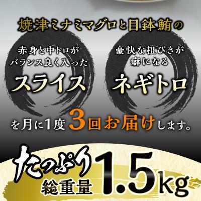 ふるさと納税 焼津市 海からの贈り物 焼津天然まぐろ三昧(3回お届け)定期便(a30-232) |  | 01
