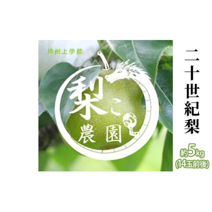 【無農薬】梨 先行予約 二十世紀梨 約5kg 14玉前後 フルーツ 果物  旬の果物 旬のフルーツ 甘い 皮ごと 