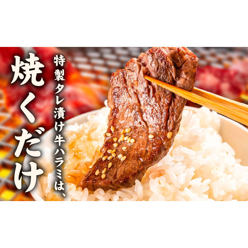 【氷温熟成×特製ダレ】牛ヒレ 1kg＋牛ハラミ 600g 合計1.6kg【スピード発送 味付き 訳あり サイズ不揃い 小分け】 mrz0425_イメージ5