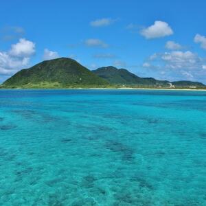 地元民から人気の名店 幸ちゃんそば もずく生麺 てびちそば 6食セット【配送不可地域：離島】【1691208】