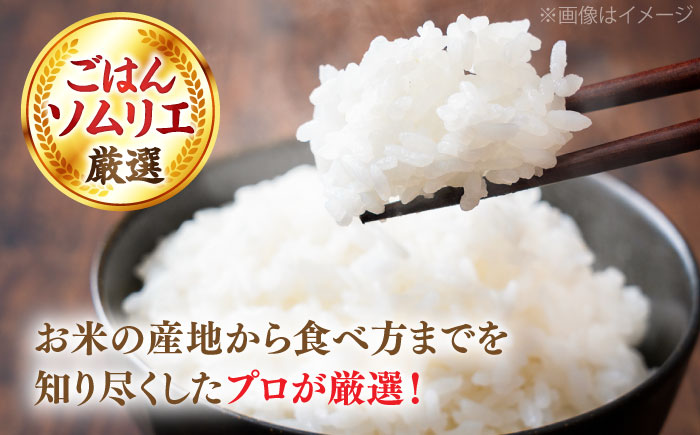 【令和7年産】【数量限定50個】3年連続特A取得！島根県産「プレミアムつや姫たたら焔米（特別栽培米・雲南市）」10kg(2kg×5) ブランド米 新米 おすすめ 人気 島根県松江市/有限会社藤本米穀店