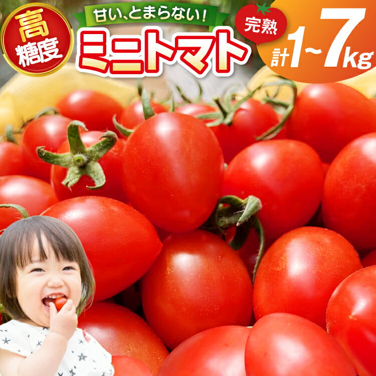 【ふるさと納税】 トマト 〜高糖度 しあわせのトマト〜 ミニトマト アイコ 1kg 〜7kg [会宝産業 石川県 宝達志水町 38601355] 野菜 とまと やさい tomato あいこ フルーツトマト みにとまと 甘い 高糖度 完熟 リコピン 産地直送 1kg 3kg 5kg 7kg