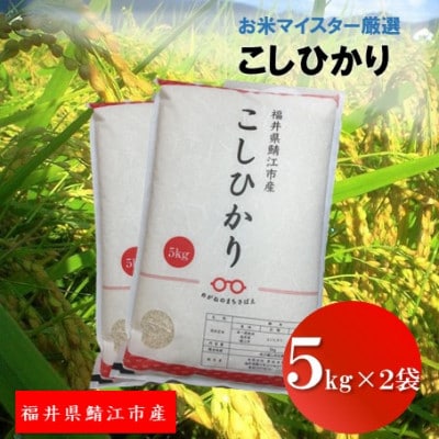 鯖江市産【令和6年産】こしひかり　10kg【1437122】