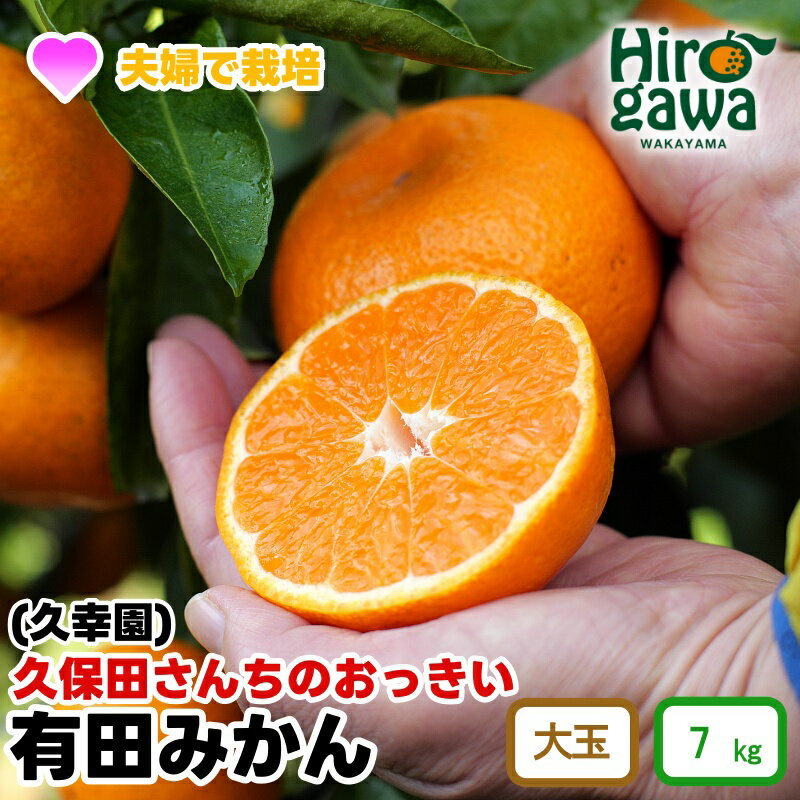 【ふるさと納税】 おっきい 有田みかん 7kg 久幸園 ※12月上旬より順次発送予定 / みかん 温州みかん 家庭用 フルーツ 果物 くだもの 果実 柑橘 濃厚 甘い 甘味 ジューシー 果汁 和歌山 有田 広川 秋 冬 旬 おすすめ オススメ 本場 ホンマモン //mandarin