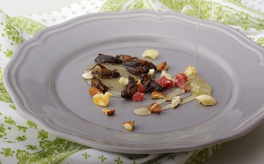 すぐ食べられる｢昆虫食｣(8袋)