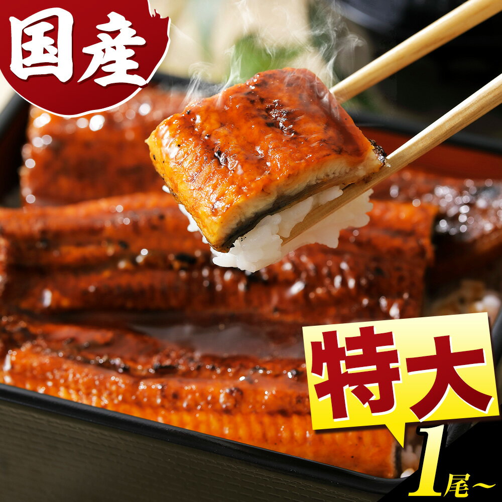 【ふるさと納税】最短3日発送！数量限定『特大』1尾 3尾～6尾 きざみ鰻付 《3-7営業日出荷》ふるさと納税 うなぎ 鰻 鰻の蒲焼き 高級 徳島県 上板町 ウナギ 土用の丑の日 贈答 夏ギフト