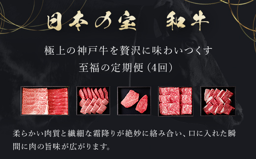 【毎月定期便】和牛セレブの神戸牛定期便「エコノミークラス」全4回【配送不可地域：離島】 AS33L8