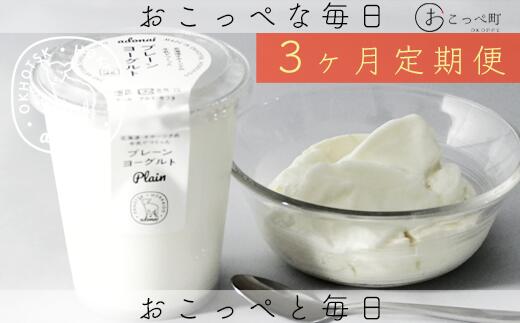 【ふるさと納税】ヨーグルト プレーン4個 3ヶ月定期便【16017】