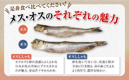 【ふるなび限定】しらぬか産 本ししゃも 30尾 オスメス 各15尾 ししゃも シシャモ 子持ちししゃも 卵 魚卵 魚 魚介 国産 北海道 北海道産 ふるさと納税_A021-1026