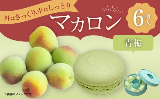 マカロン 青梅 6個入り おやつ 洋菓子 お菓子 菓子 おかし デザート スイーツ 青梅 梅 うめ ウメ 冷蔵