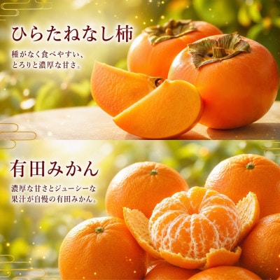 【発送月固定定期便】紀州和歌山産旬のフルーツセット(バレンシア・桃・ひらたねなし柿・みかん)全4回【配送不可地域：離島・北海道・沖縄県】