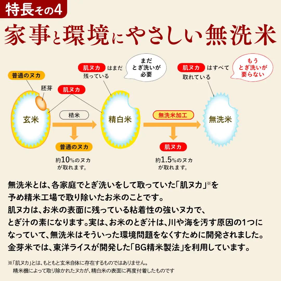 【 金芽米 ( 無洗米 ) 】 ＜9月下期出荷＞ つくばみらい市産 コシヒカリ 5kg × 2袋 ( 計 10kg )