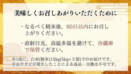 《 3ヶ月 定期便 》【生産者支援】《 令和6年産 》茨城県桜川市産 こしひかり 15kg ( 5kg × 3袋 ) × 3回 茨城県産 桜川 米 お米 白米 コメ ごはん 精米 コシヒカリ 国産 限