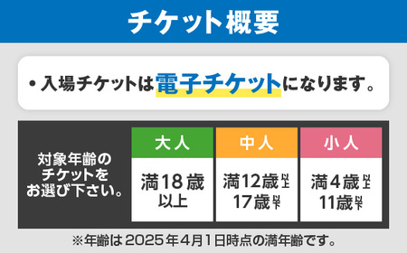 No.163 2025年日本国際博覧会入場チケット 平日券（大人）【島本町返礼品】