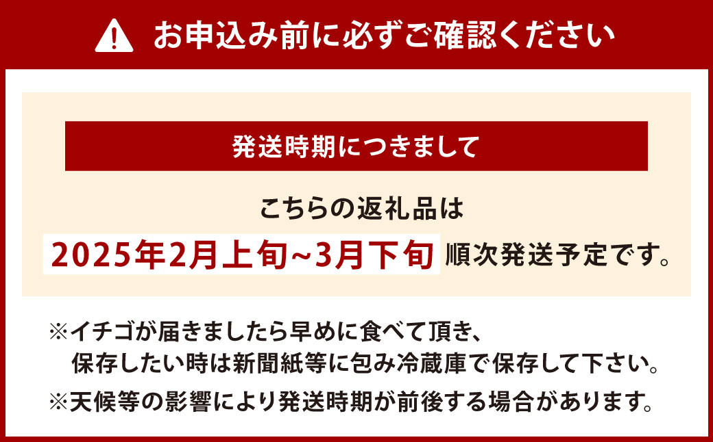 【栽培期間中農薬不使用】天姫（あまひめ）イチゴ 200g×2パック 合計400g