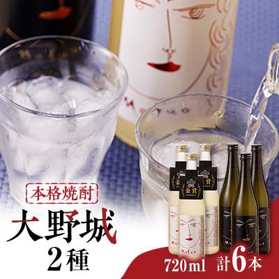 ふるさと納税 大野城市 本格焼酎大野城詰合せ