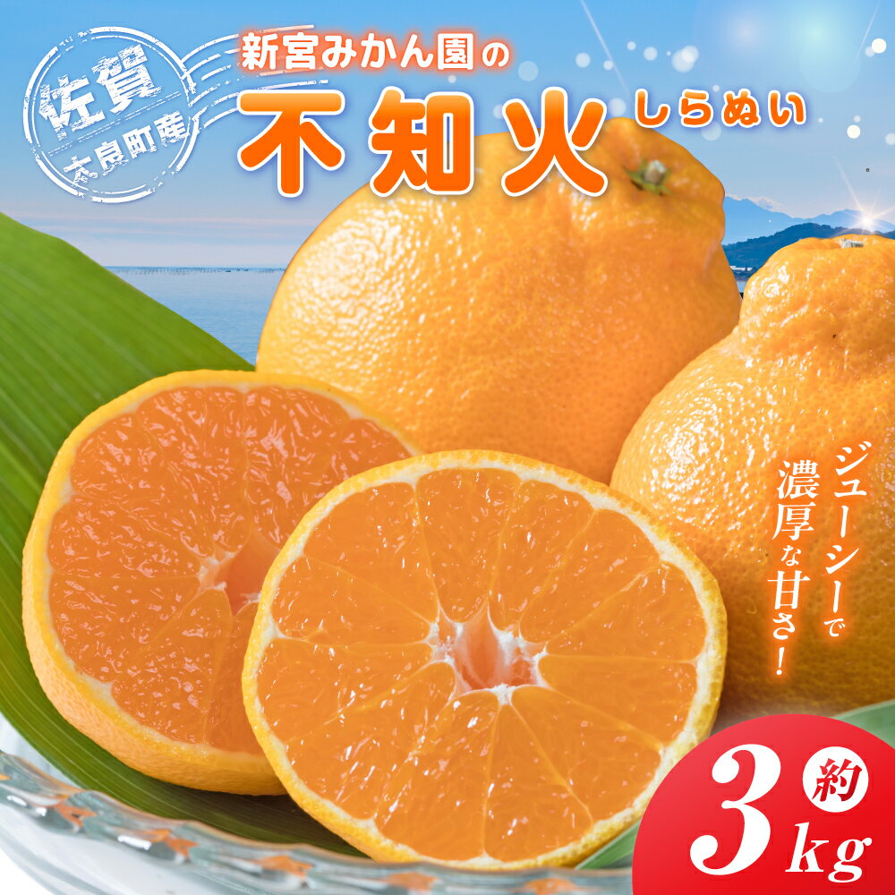 【ふるさと納税】【令和7年4月下旬頃～発送】新宮みかん園の不知火 L～3Lサイズ 約3kg みかん ミカン 蜜柑 不知火みかん しらぬい デコポン でこぽん 温州みかん 完熟みかん 国産 佐賀県産 太良町 期間限定 詰め合わせ L58