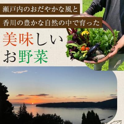 ふるさと納税 さぬき市 さぬき市小田産の食を楽しむTAGATAMEのお任せお野菜セット【大満足サイズ】13品以上 |  | 01