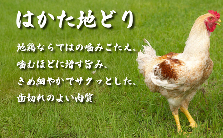 福岡限定！はかた地どり美人水炊きセット　2～3人前｜博多 水炊き MEP
