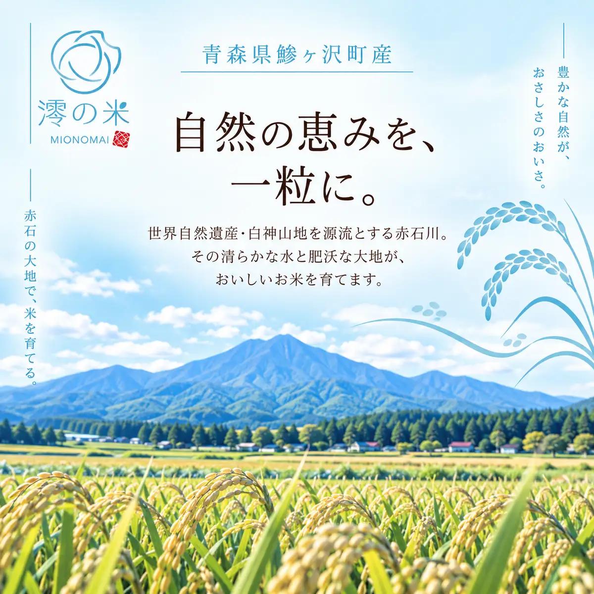 【6回定期便】米 10kg 玄米 はれわたり イワモトファーム 青森県産 令和8年産 6ヶ月 定期便 新米 健康 栄養 食物繊維 ブランド米 直送 農家直送 お取り寄せ お米 こめ コメ 国産 もっち