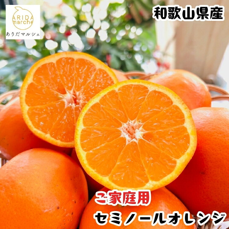 【ふるさと納税】＼選べる内容量／セミノールオレンジ（ご家庭用）｜柑橘 フルーツ 果物 くだもの 食品 人気 おすすめ 選べる 国産 美浜町