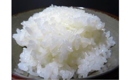 【令和7年産】佐渡高千産こしひかり　精米2kg×2袋　化粧箱入