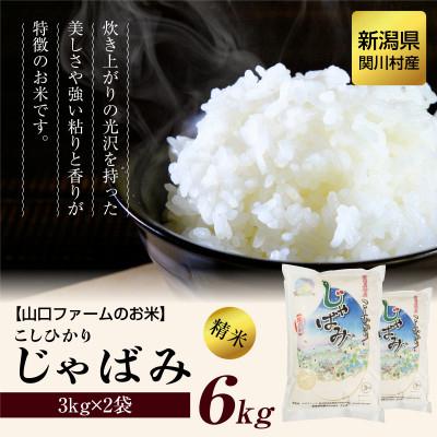 ふるさと納税 関川村 [先行予約] R7年産 関川村産コシヒカリ6kg(3kg×2) 丁寧に育てた贅沢米 [山口ファーム]