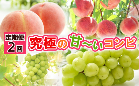 【定期便2回】究極の 甘～いコンビ 【令和7年産先行予約】FS24-795