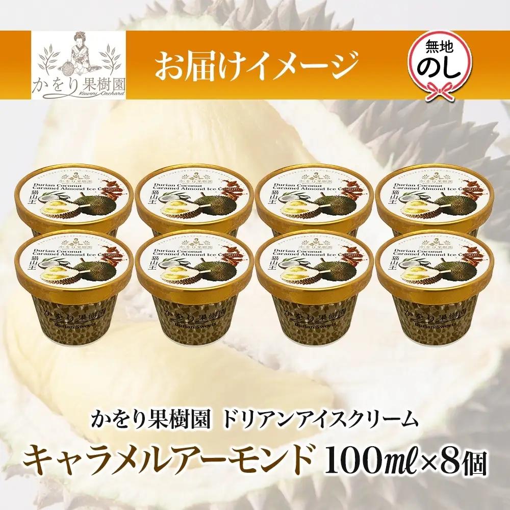 無地熨斗 ドリアン ココナッツ キャラメルアーモンド アイスクリーム 100ml 8個 ココナッツ キャラメル