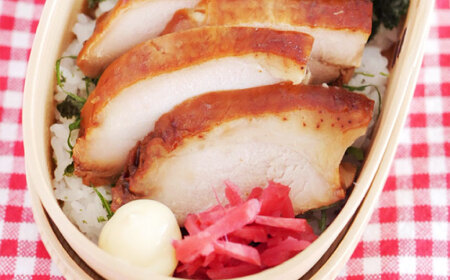 朝挽き 清流美どり お弁当セット 5種 11点 鶏肉 若鶏 お取り寄せ 岐阜市/若鶏の春近[ANDL003]