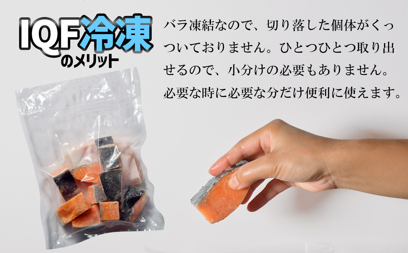 【訳あり】銀鮭切り落とし500g