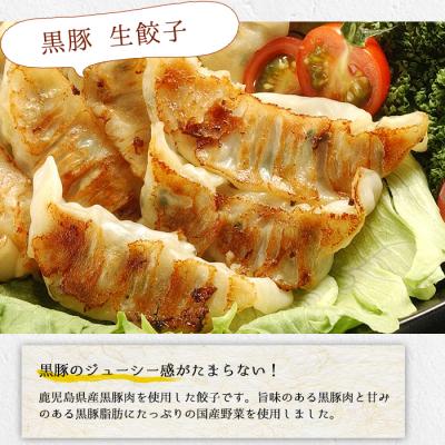 ふるさと納税 いちき串木野市 鹿児島黒豚生餃子2種(黒豚生餃子・生姜風味)食べ比べセット 計144個 タレ付き!国産野菜使用! |  | 02