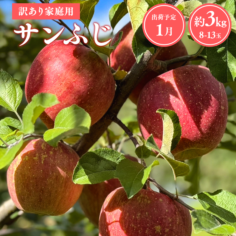 ≪令和8年産先行受付≫令和9年1月発送! 訳あり 家庭用サンふじ約3kg【青森県平川市産・青森りんご】【青森県 平川市 山内ファーム】家庭用 平川市産 青森りんご りんご リンゴ 林檎 ふじ 訳あり 